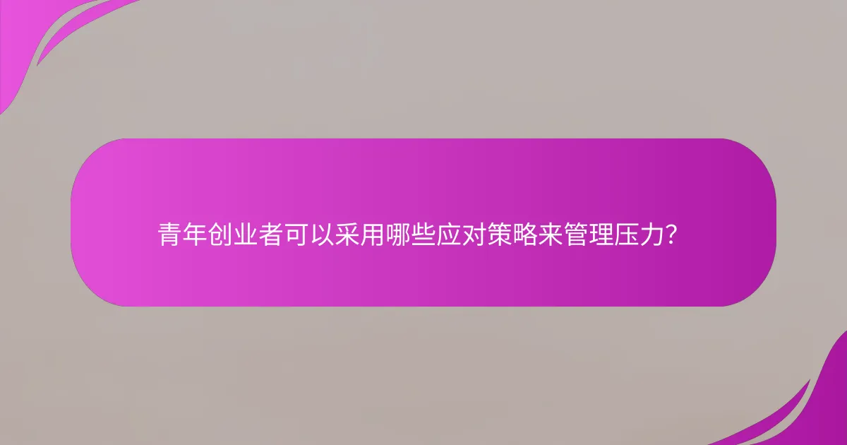 青年创业者可以采用哪些应对策略来管理压力？