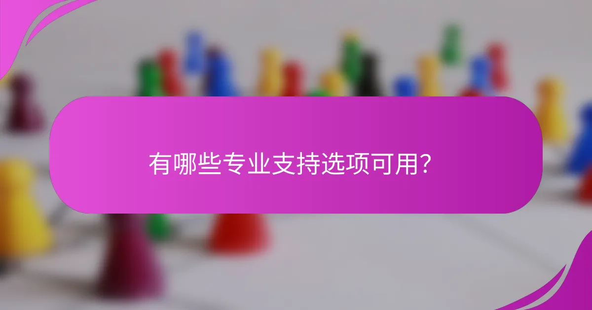 有哪些专业支持选项可用？